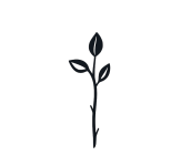 Schumacher Seeds of Sweden