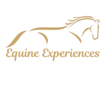 Equine Experiences