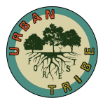Urban Forest Tribe CIC