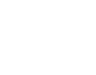 The Ashura Project