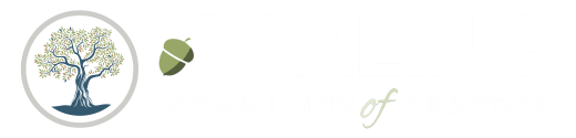 Scaling Community of Practice