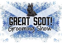 Groom Team Scotland