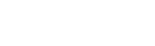 BSBI