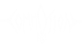 COMMOTION FEST