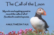 The Call of the Loon