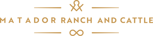 Matador Ranch and Cattle