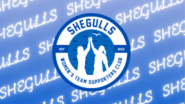SheGulls