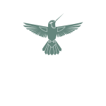 Colibri Spirit Festival 2026