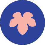Klüp Events