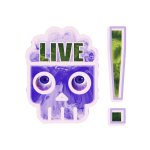 Brain Dead Live