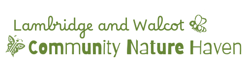 Lambridge and Walcot Community Nature Haven