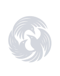 Grackle Dance Collective