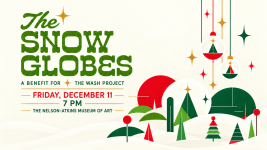 An Evening with The Snow Globes - A Benefit for The Wash Project