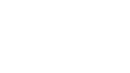 Vibez Nation