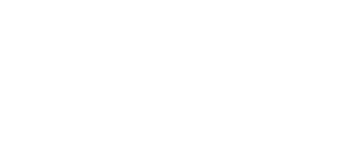Morph Festival