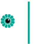 Cyrus International Film Festival