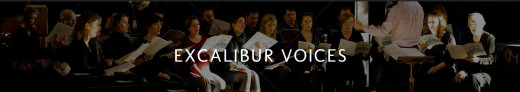 Excalibur Voices