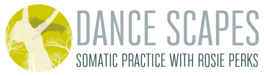 Dance Scapes