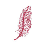 Eglesfield Musical Society