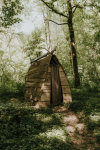 Voltaire's Wood