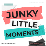 Junky Little Moments