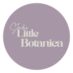 Studio Little Botanica