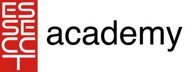Essecct srl