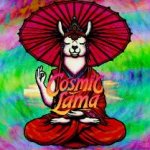 Cosmic Lama