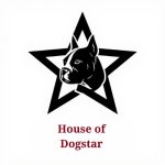 House of Dogstar - Mythos Manchester Film and TV x Finance Event