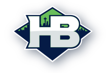 Hawk Blogger