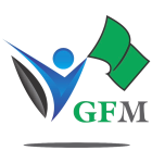 Green Flag Multimedia