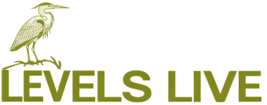 Levels Live