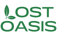 The Lost Oasis