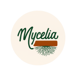 Mycelia Restaurant