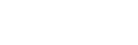 Norton Priory Museum Trust Limited