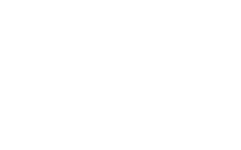 The Mad Ones asbl