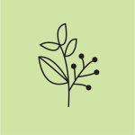 Sincere Counseling, LLC
