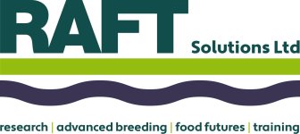 RAFT Solutions