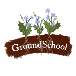Groundschool CIC