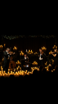 Music of Midnight: Lakeside Artists Guild String Quartet