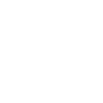 RISExSHINE