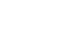 Fleapit Cinema