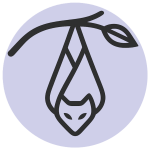 Pipistrelle Support Services