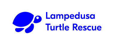 Associazione Caretta caretta