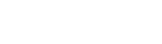 Team Ted Foundation