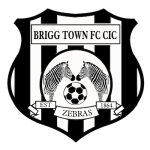 Brigg Town FC