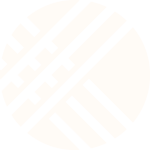 CLLCTIVLY