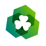 Irish Dreamin'