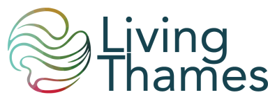 Living Thames