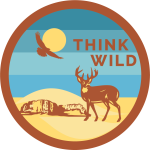 Think Wild